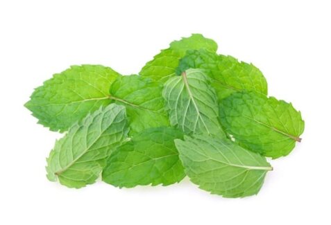 خواص پونه و فواید دارویی درمانی آن