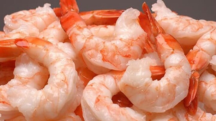 هزینه خرید میگو چقدر است؟