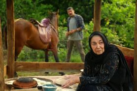 معصومی: بازیگری تعهد و صبوری می‌خواهد/قدرت نه گفتن داشته باشیم