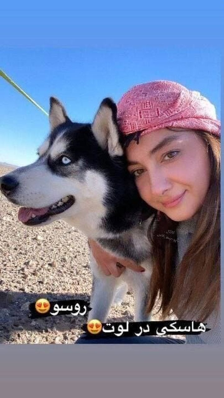 واکنش‌ها به حرکت جنجالی و تاسف بار هانیه توسلی در کویر