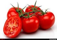 گوجه فرنگی یکماه دیگر ارزان می شود/ لزوم مدیریت صادرات سیب زمینی