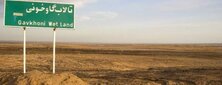 سونامي ريزگردهاي گاوخوني در راه است