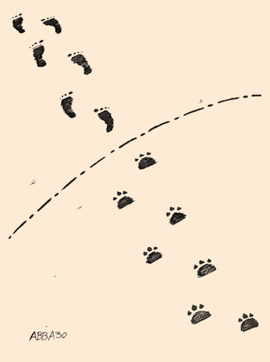 بدون شرح