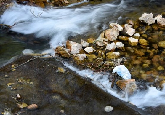 " زر چشمه " شهرضا گردشگران را فرا میخواند