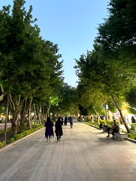 افزایش نگرانی از بازگشت خودرو به چهارباغ