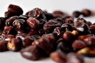 تولید روغن هسته خرما از سوی محققان اصفهانی