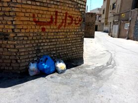 عبور نه چندان موفق طرح جمع‌آوری پسماند از مرز یک‌سالگی