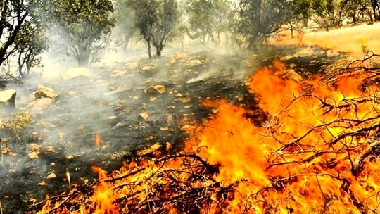 آتش‌سوزی‌های سریالی در اصفهان تصادفی نیست