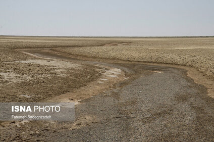  مرز فاجعه