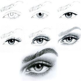 آموزش﻿ طراحی چهره