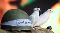 فرمانده گردان گفت اینجا بعضی از برادرا هم که کفترباز شدن!