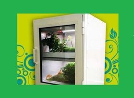 طراحی باغچه هوشمند سبزی خانگی در کشور
