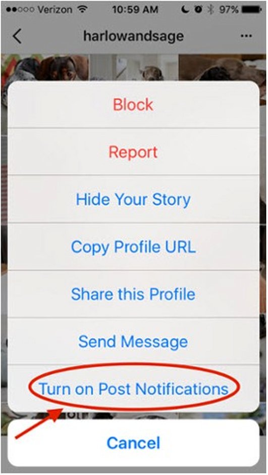 23 ترفند آشکار و پنهان اینستاگرام (بخش اول)