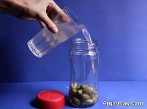 طرز تهیه زیتون شور خانگی با دو روش متفاوت