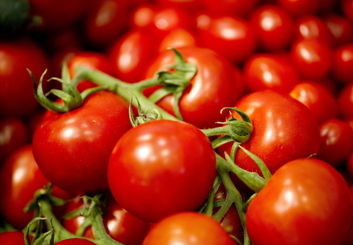 خواص گوجه‌فرنگی برای بدن | معجزه‌ای طبیعی برای پوست، قلب و بینایی