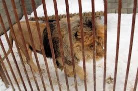 باغ‌ها در اصفهان، باغ‌وحش‌های شخصی است