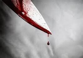 قاتل پیرزن نجف‌آبادی پس از ۳ ساعت دستگیر شد