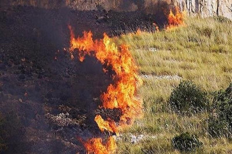 سهل‌انگاری انسان‌ها آتشی به جان طبیعت 
