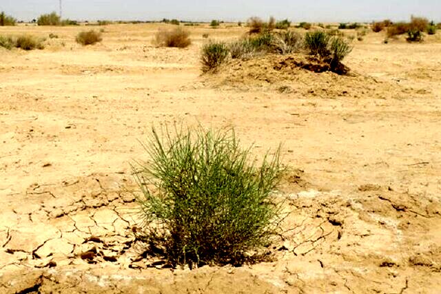 ائتلاف صنعت و منابع طبیعی برای نجات اصفهان؛ از تعهد ۱۵۰۰ هکتاری بیابان‌زدایی تا خلاء اعتبار ۷ هزار میلیارد تومانی