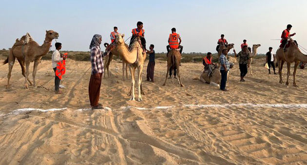 جدال شترسواران در «مصر» ایران؛ خور و بیابانک میزبان هفتمین دوره قهرمانی کشور در آستانه اعزام‌های جهانی