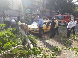 انجام 20 مورد عملیات آتش نشانی در یک روز
