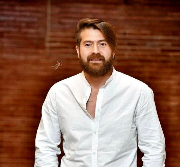 بیوگرافی هامون سیدی بازیگر و همسرش با عکس جدید