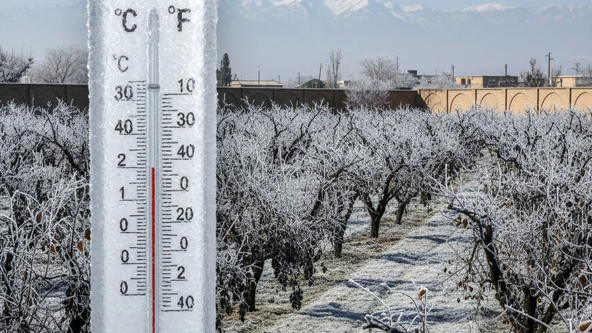 زنگ خطر سرمازدگی در اصفهان؛ موج قطبی، دما را تا ۱۰ درجه زیر می‌کشد!