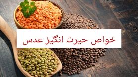 13خواص حیرت انگیز عدس؛ خوردن عدس برای چه کسانی ممنوع است؟