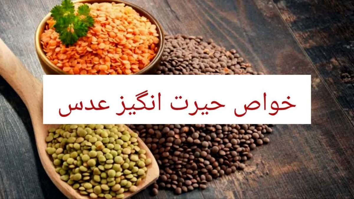 13خواص حیرت انگیز عدس؛ خوردن عدس برای چه کسانی ممنوع است؟